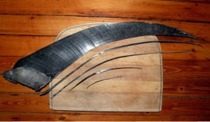 baleen plate and strips